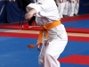 KARATE030