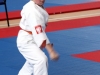 KARATE052