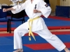 KARATE120