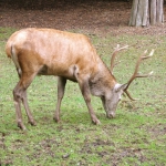 P8270097