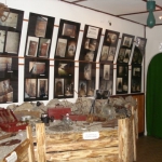 dsc00894