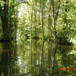 lubniewice-2005-81