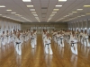 dojo