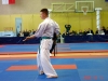 Karate MP 306