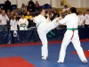 MP KARATE -330